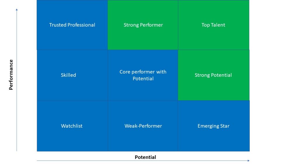 The Nine Box Grid- Assessing performance and potential