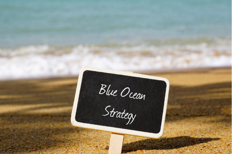 WHAT IS A BLUE OCEAN STRATEGY