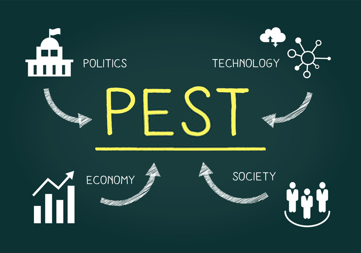 What is PEST Analysis? How to Perform PEST Analysis